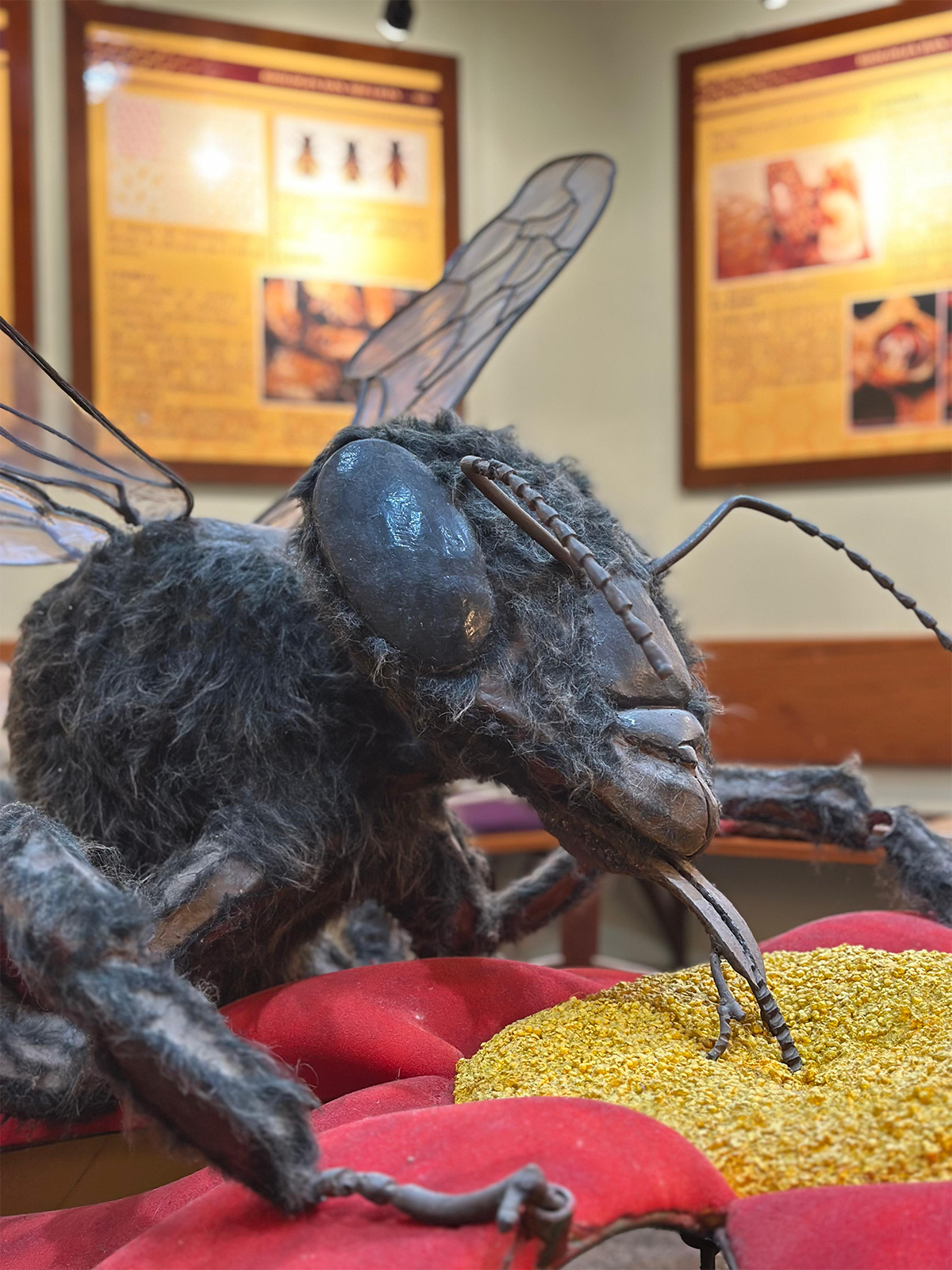 Museu do Mel 4
